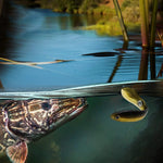 PACK DE 5 CEBOS BIÓNICOS REALISTAS - LUREFISH™